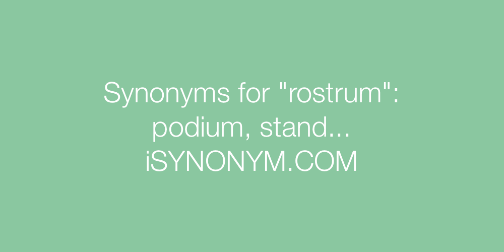 Synonyms rostrum