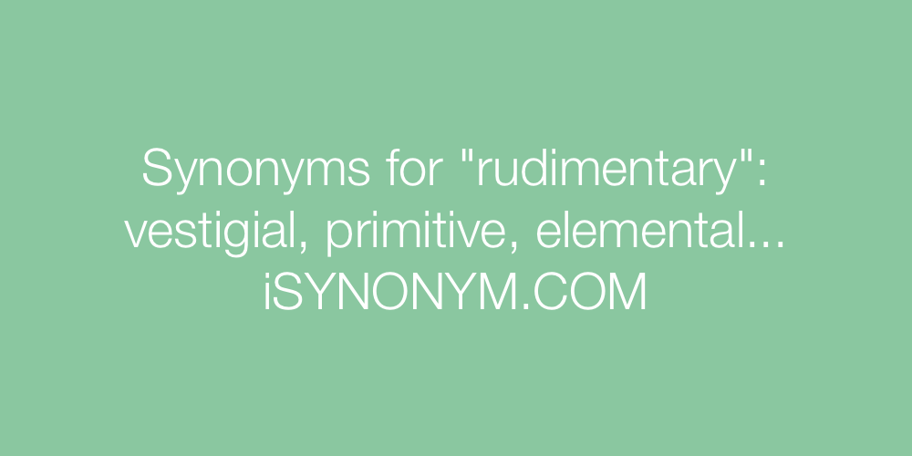 Synonyms rudimentary