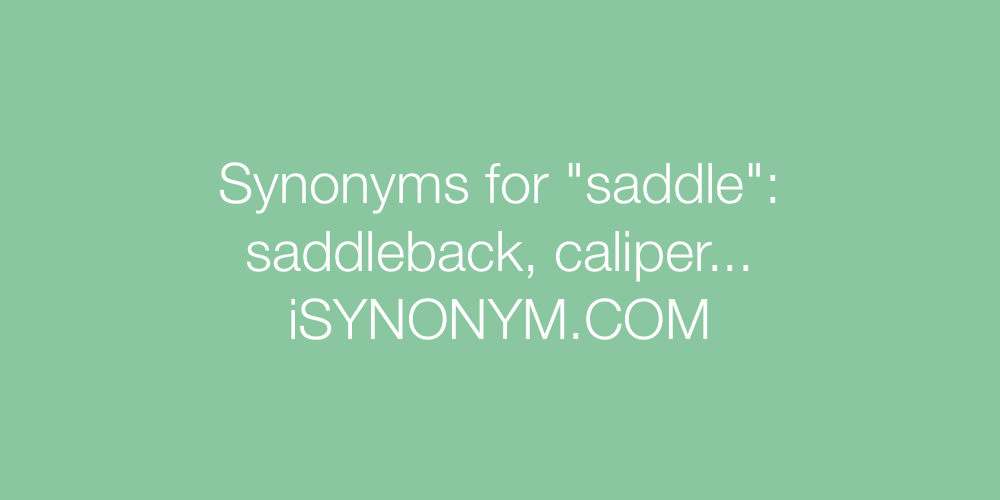 Synonyms saddle