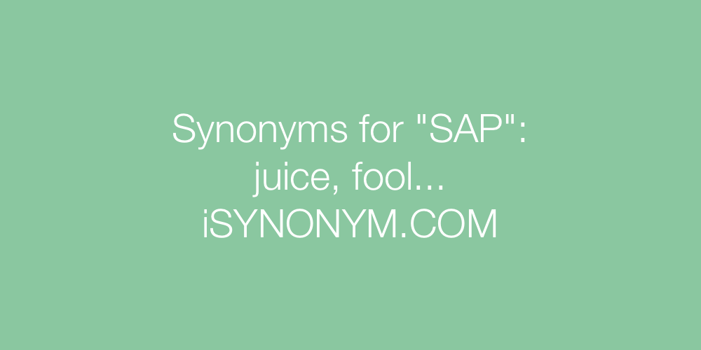 Synonyms SAP