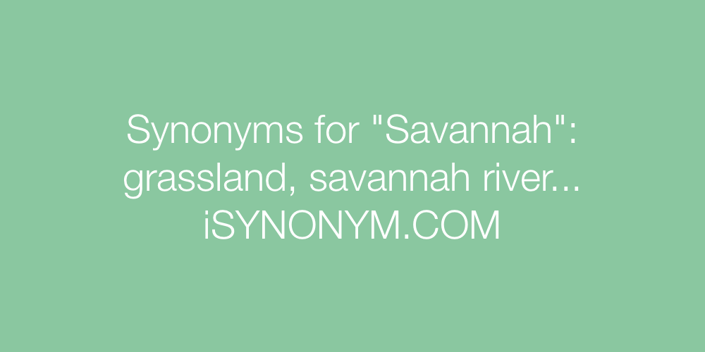 Synonyms Savannah