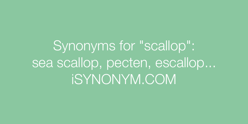 Synonyms scallop