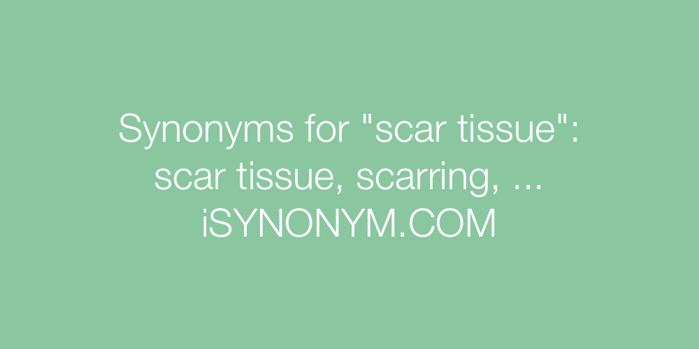 Synonyms scar tissue
