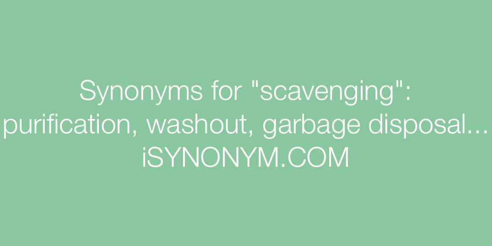 Synonyms scavenging