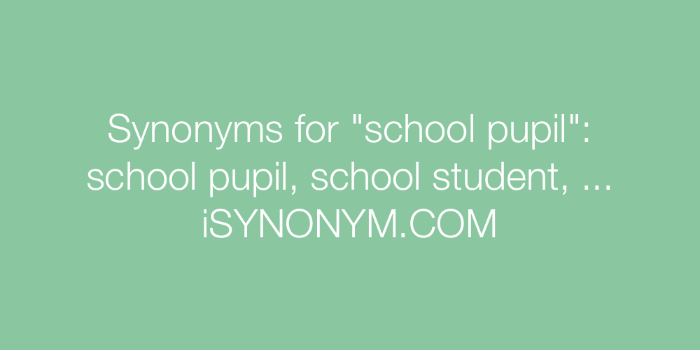 Synonyms school pupil