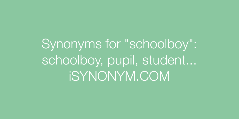 Synonyms schoolboy