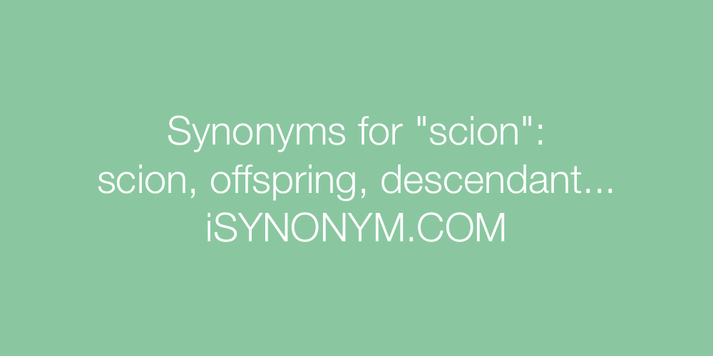 Synonyms scion