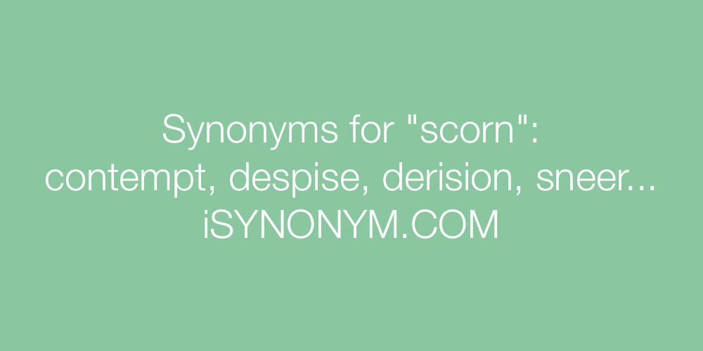 Synonyms scorn