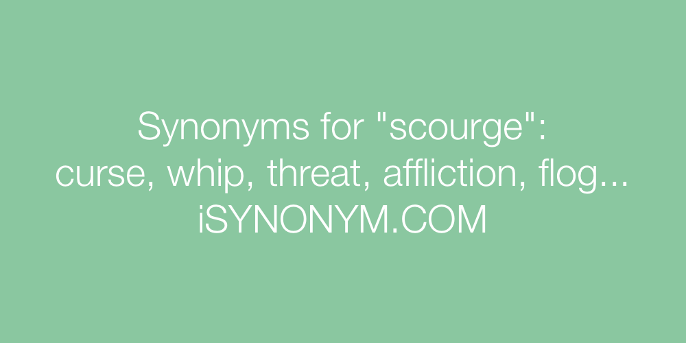 Synonyms scourge