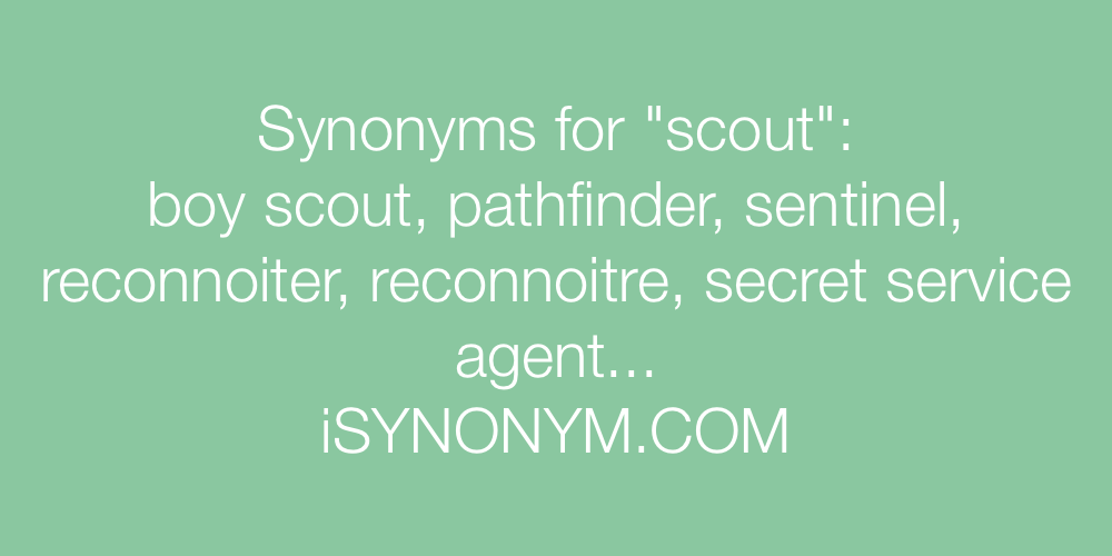 Synonyms scout