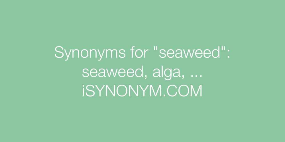 Synonyms seaweed