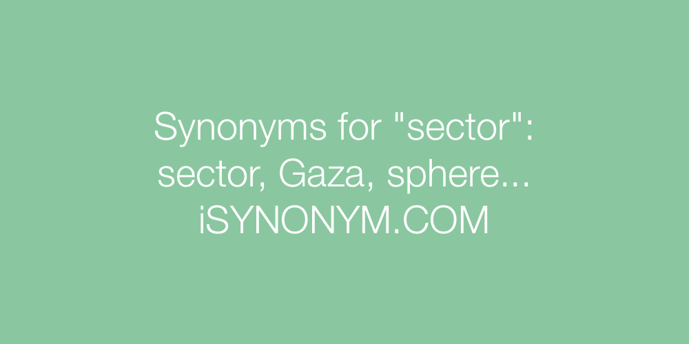 Synonyms sector