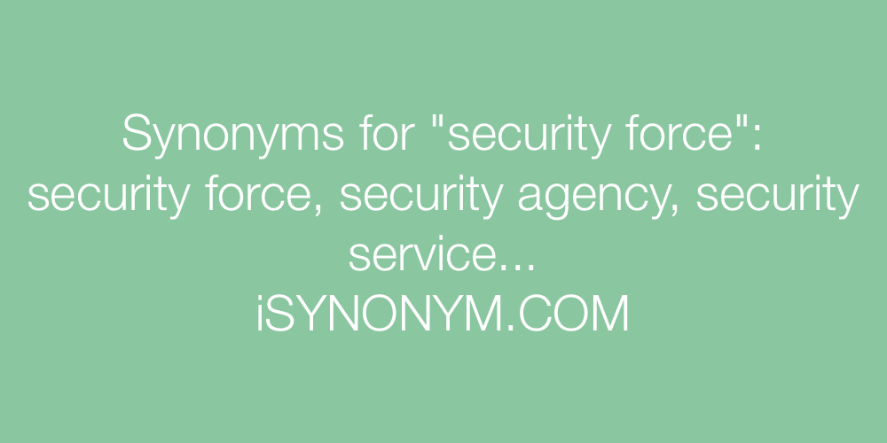 Synonyms security force