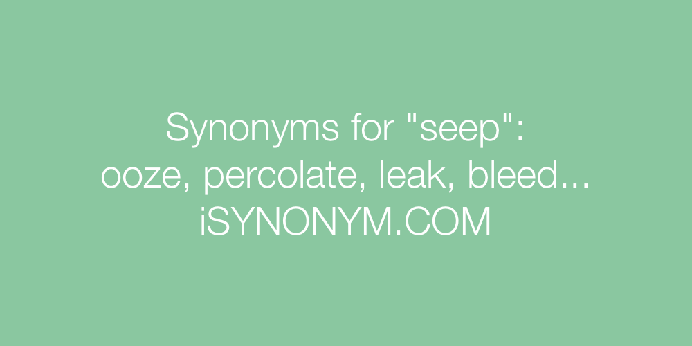 Synonyms seep