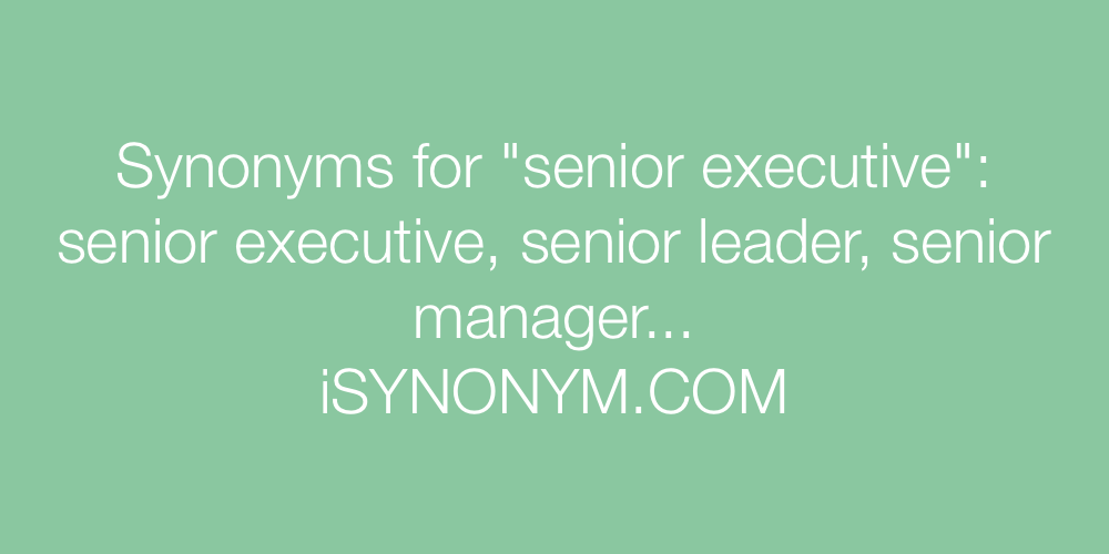 Synonyms senior executive