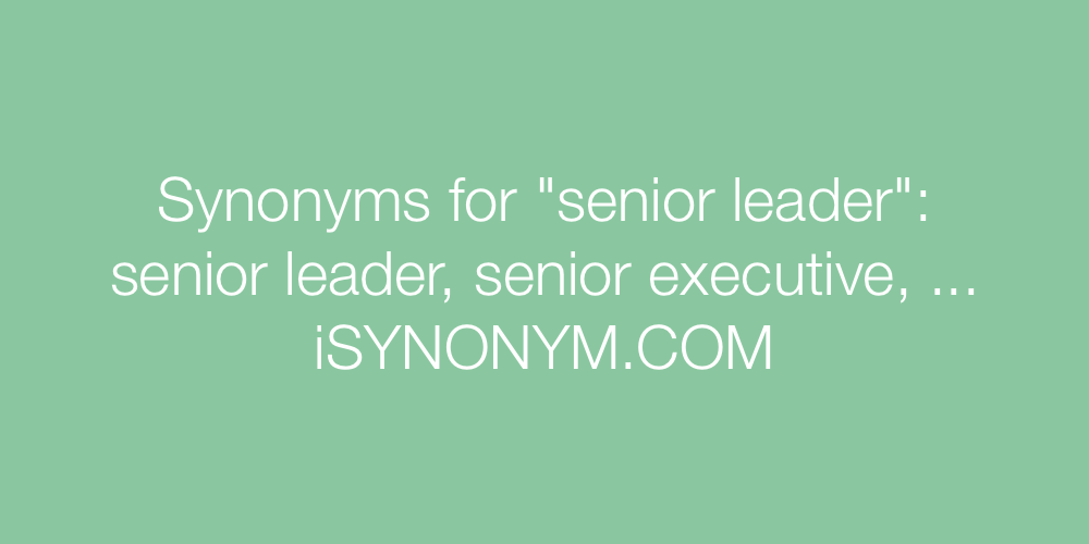 Synonyms senior leader