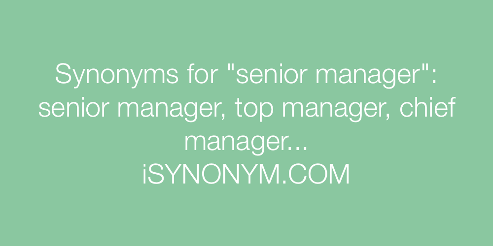 Synonyms senior manager