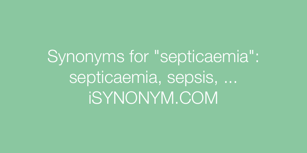 Synonyms septicaemia