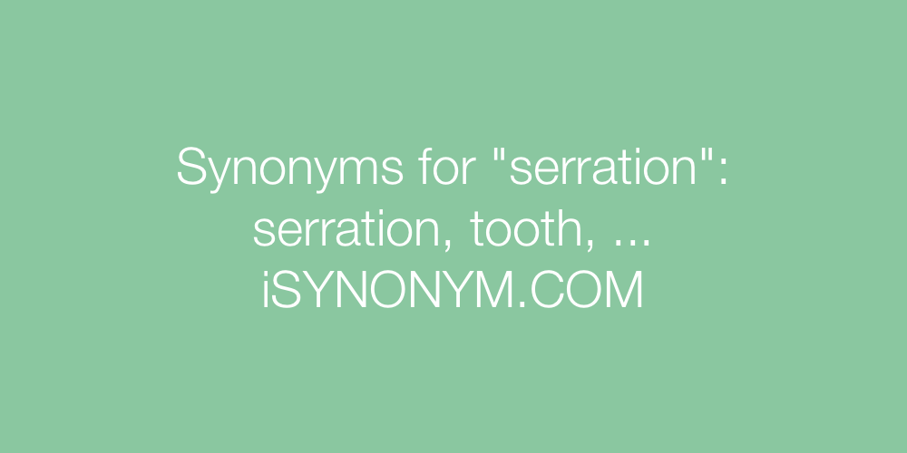 Synonyms serration