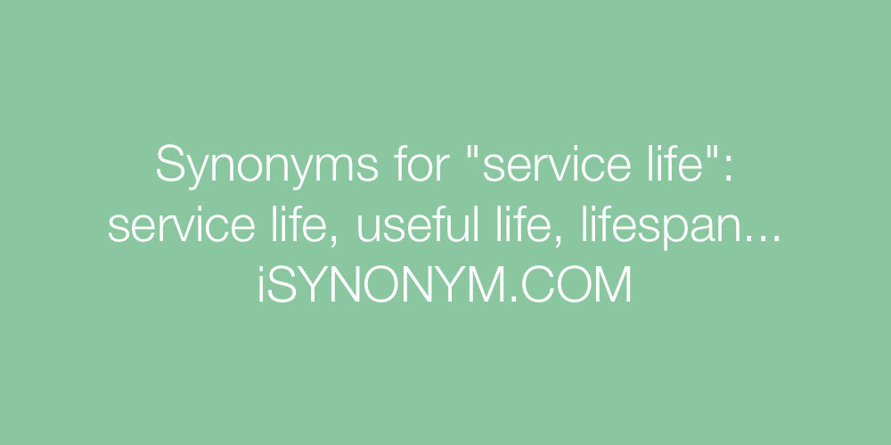 Synonyms service life
