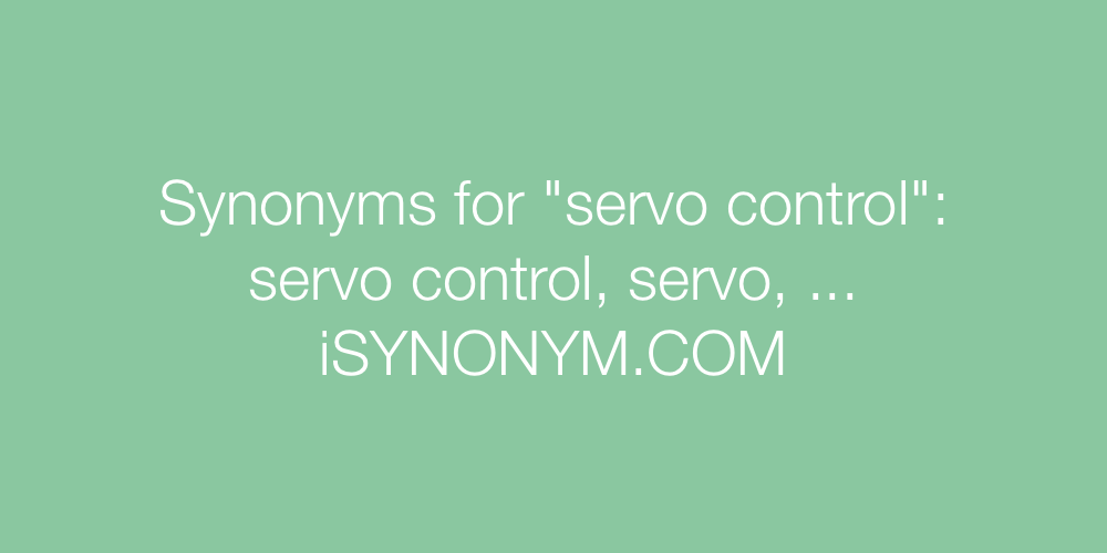 Synonyms servo control