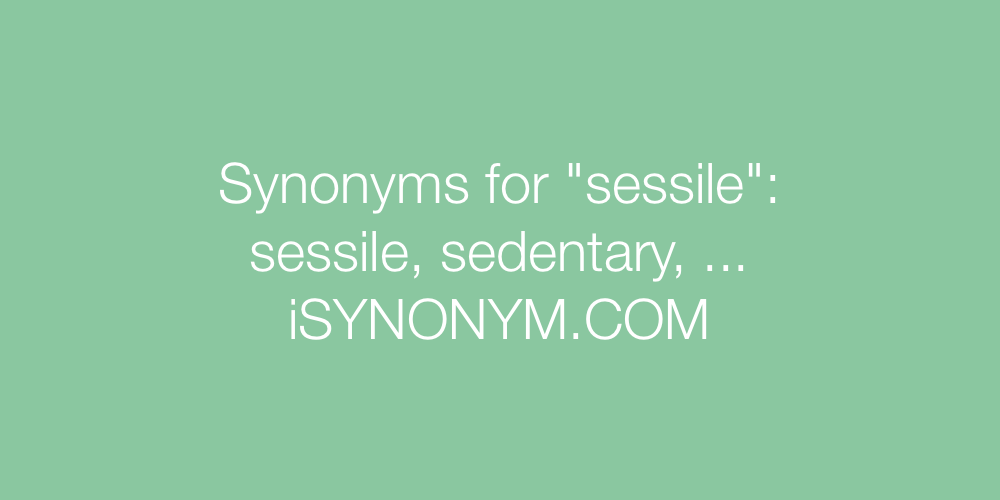 Synonyms sessile
