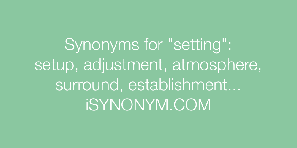 Synonyms setting