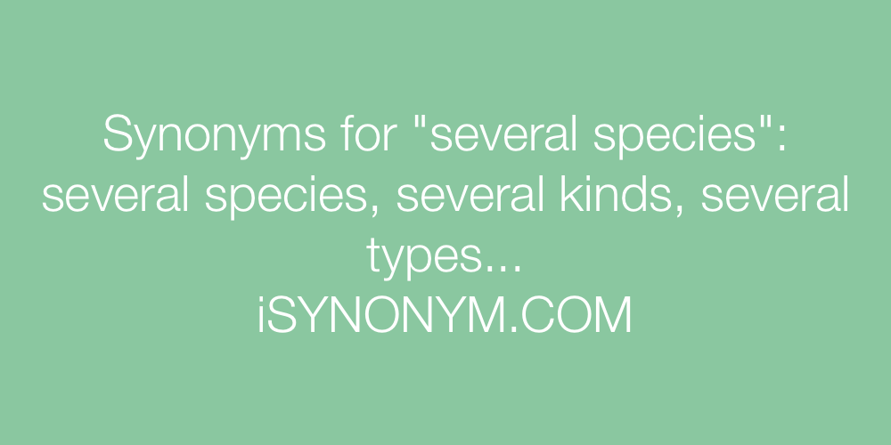 Synonyms several species