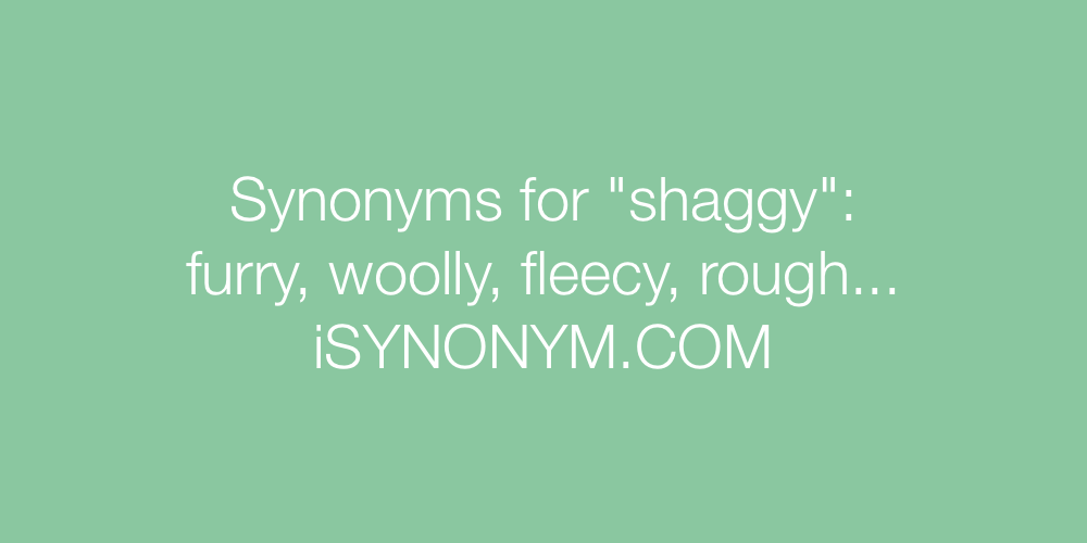 Synonyms shaggy