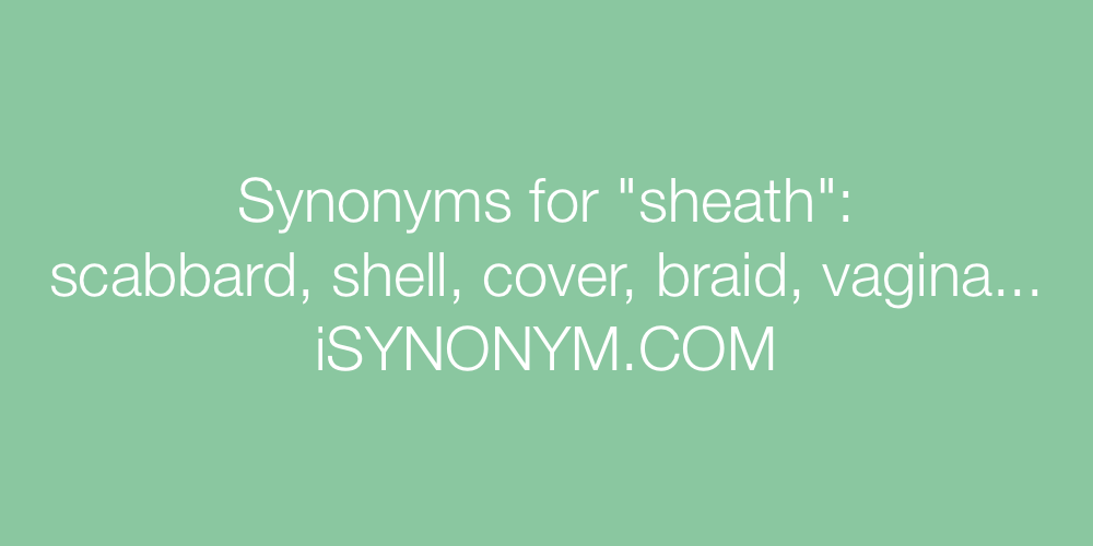 Synonyms sheath