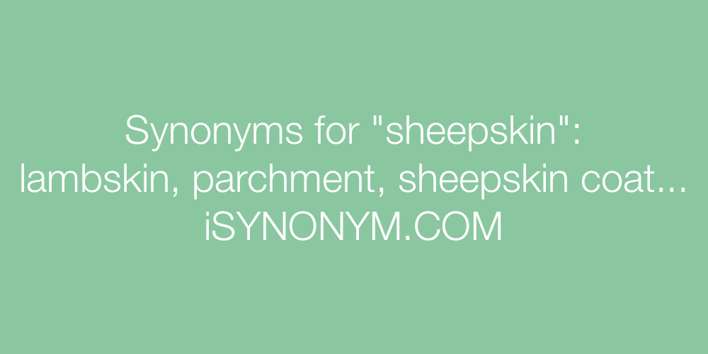 Synonyms sheepskin