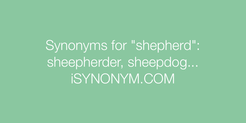 Synonyms shepherd