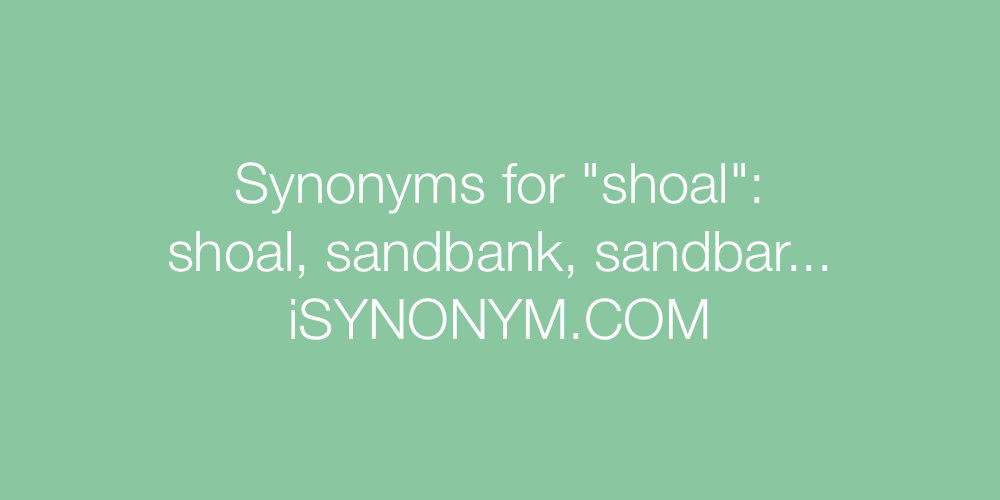 Synonyms shoal