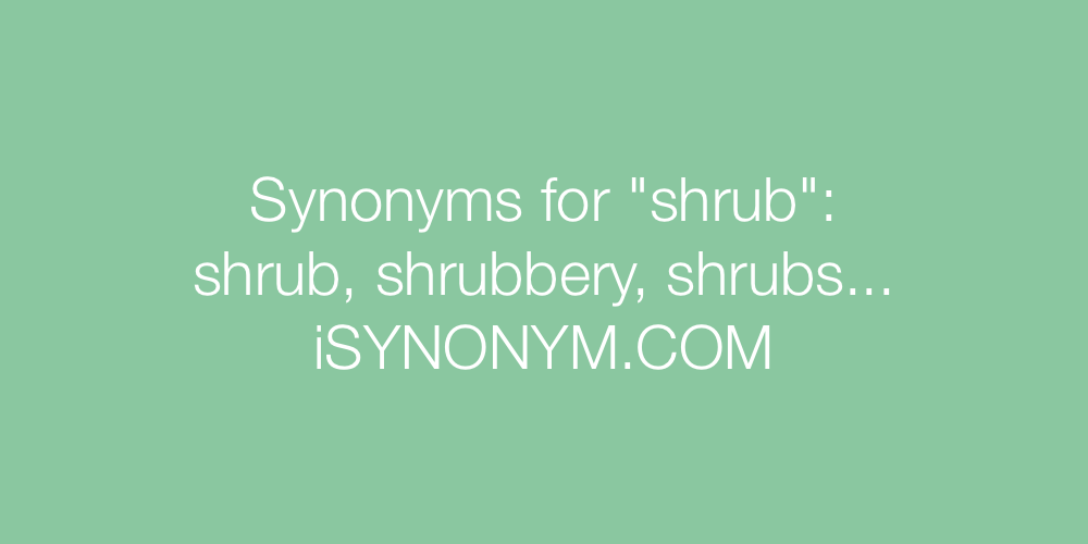 Synonyms shrub