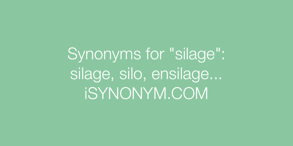 Synonyms silage