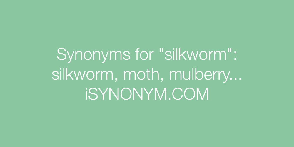 Synonyms silkworm