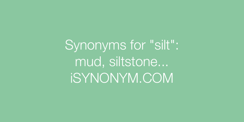 Synonyms silt