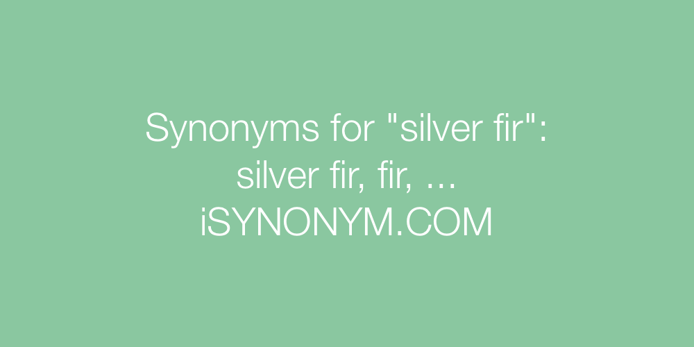 Synonyms silver fir