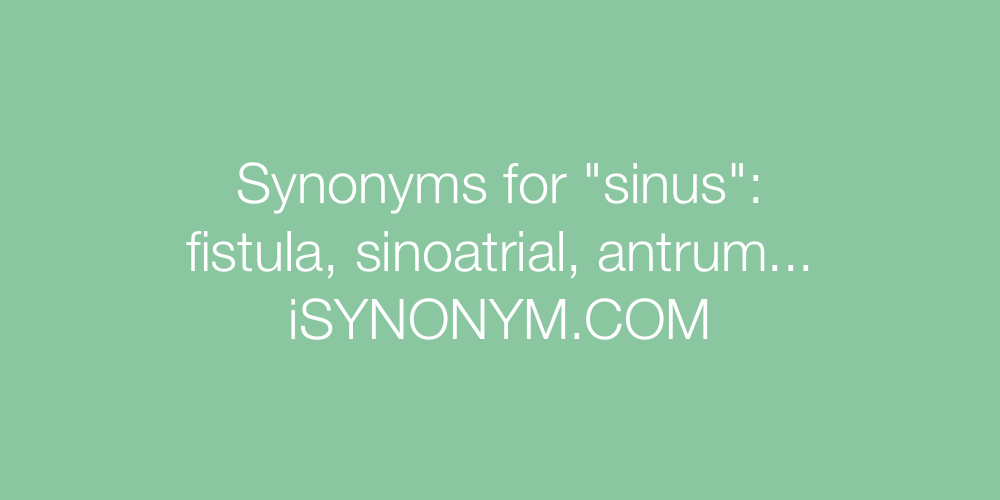 Synonyms sinus