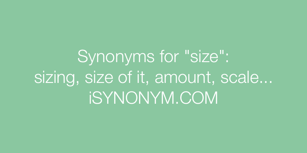 Synonyms size