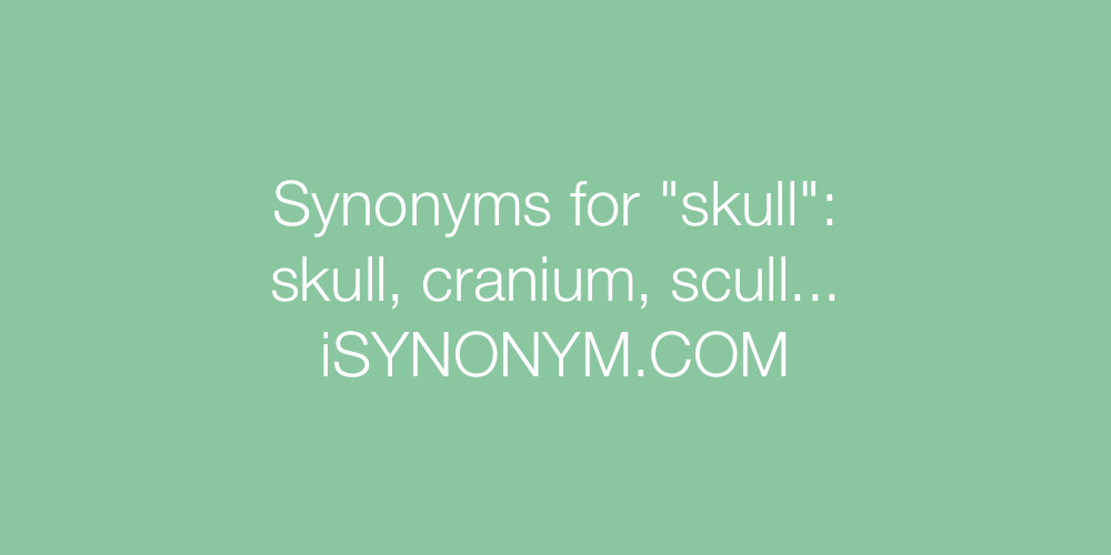 Synonyms skull