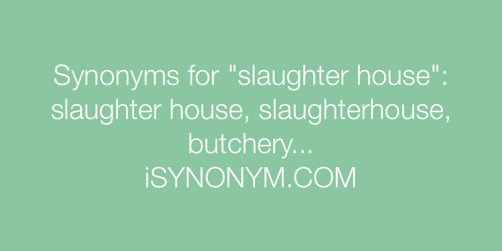 Synonyms slaughter house