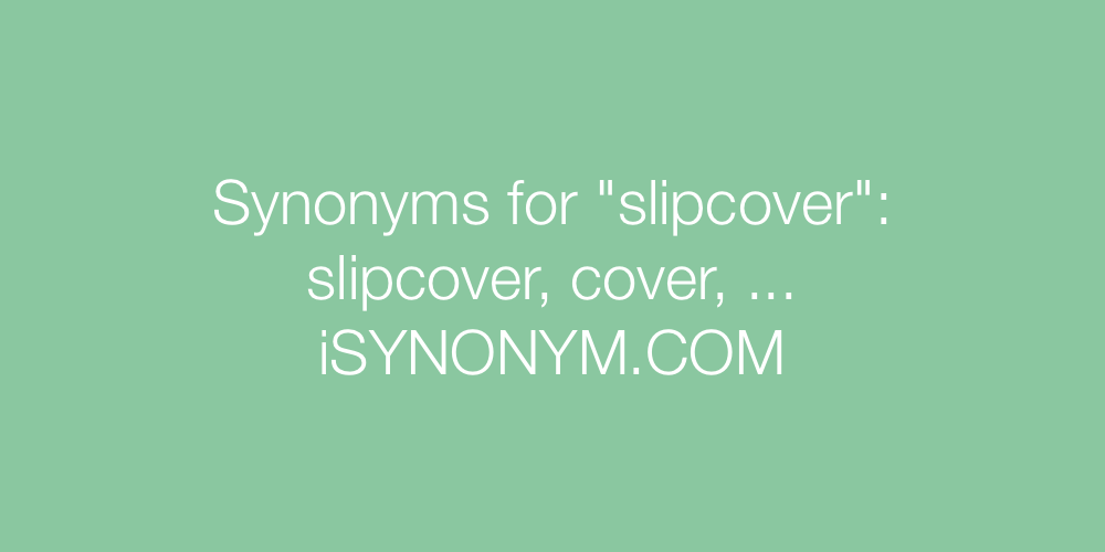 Synonyms slipcover