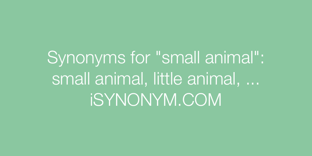 Synonyms small animal