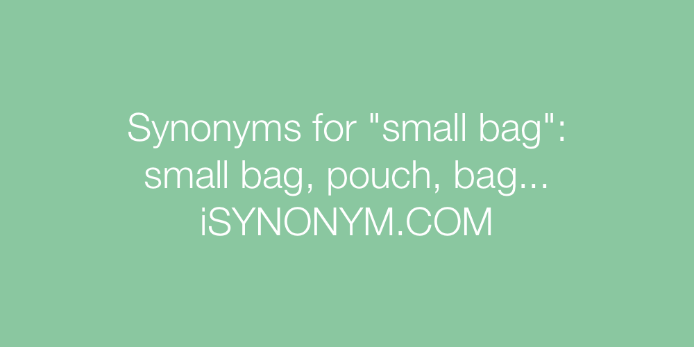 Synonyms small bag