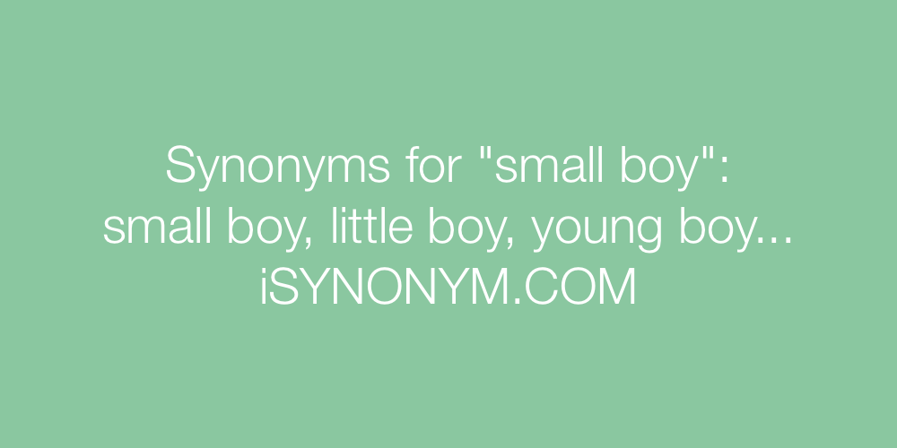 Synonyms small boy