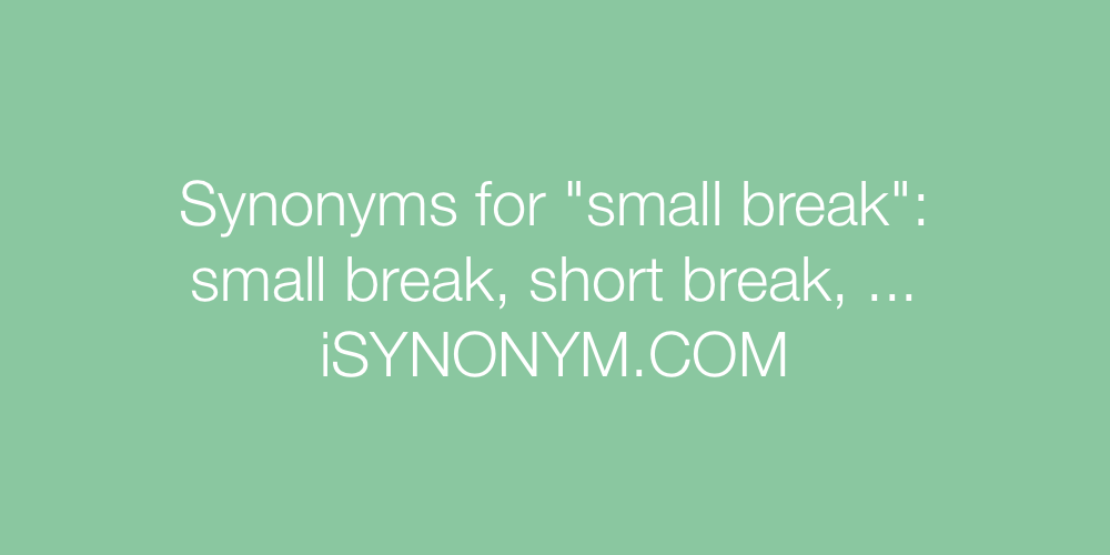 Synonyms small break