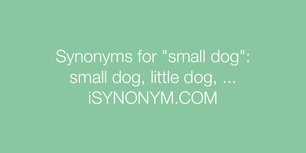 Synonyms small dog