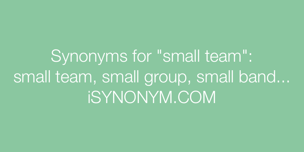 Synonyms small team