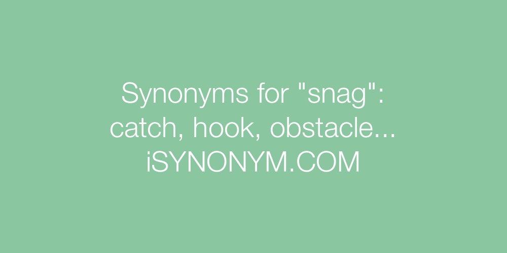 Synonyms snag